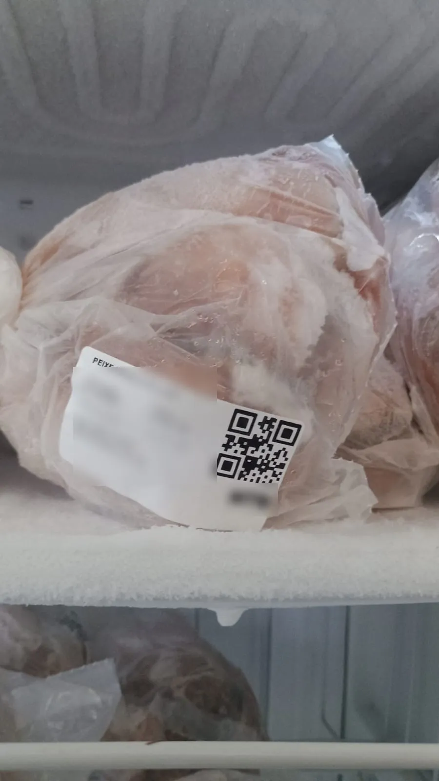 Etiqueta com QR code, lote e validade num pacote de peixe congelado
